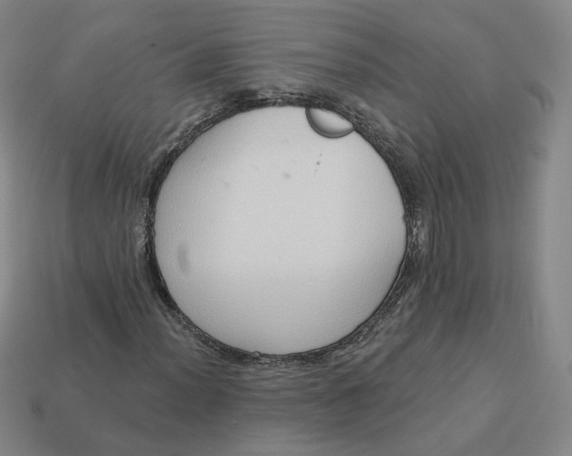 X0000113321012200910051120