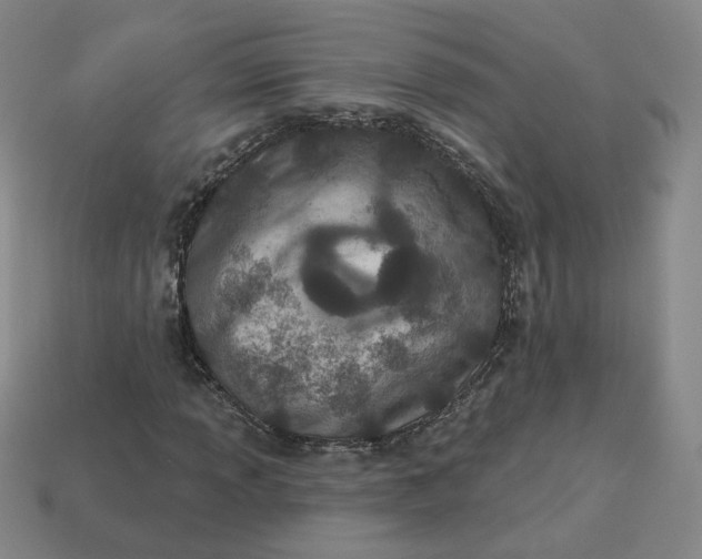 X0000113321013200910051120