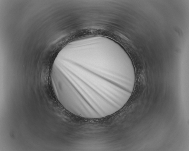 X0000113321014200910051120