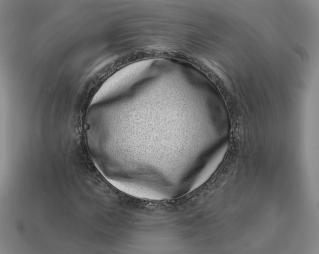 X0000113321015200910051120