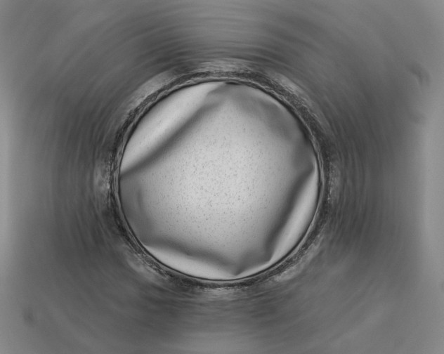 X0000113321017200910051120