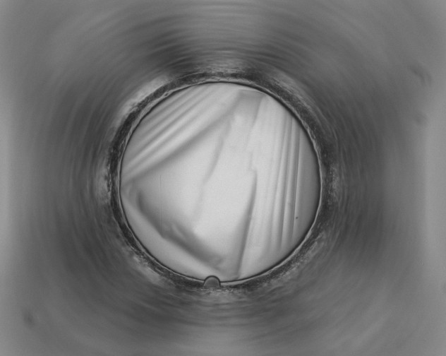 X0000113321018200910051120