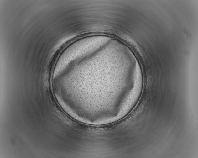 X0000113321019200910051120