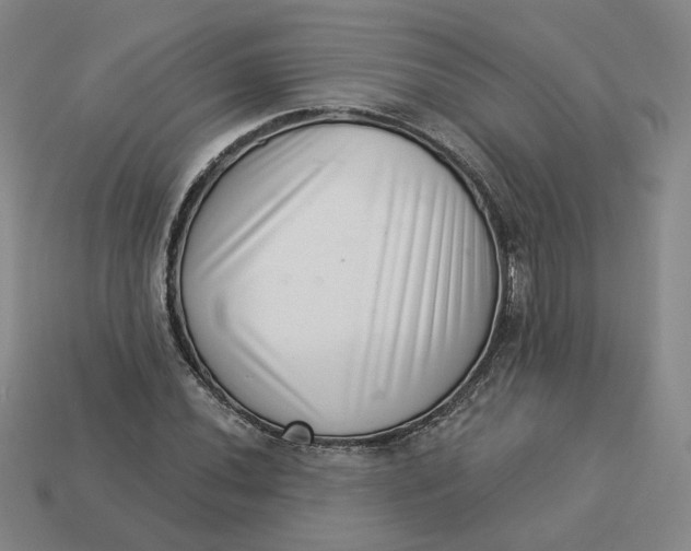 X0000113321020200910051120