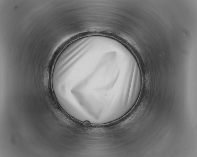 X0000113321021200910051120