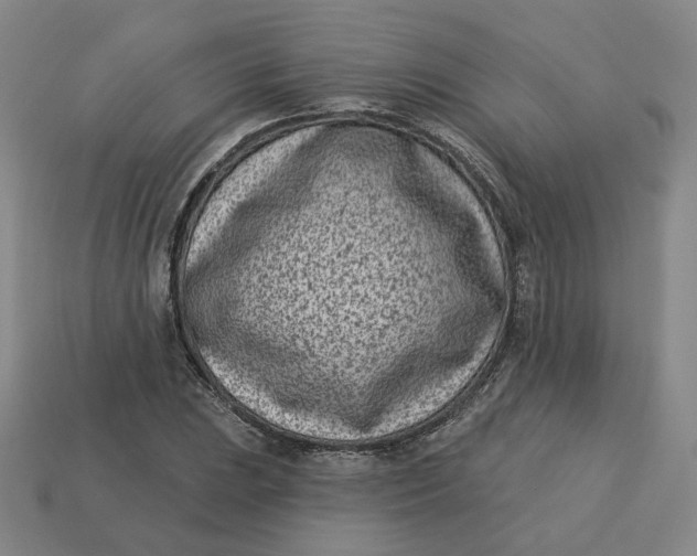 X0000113321023200910051120