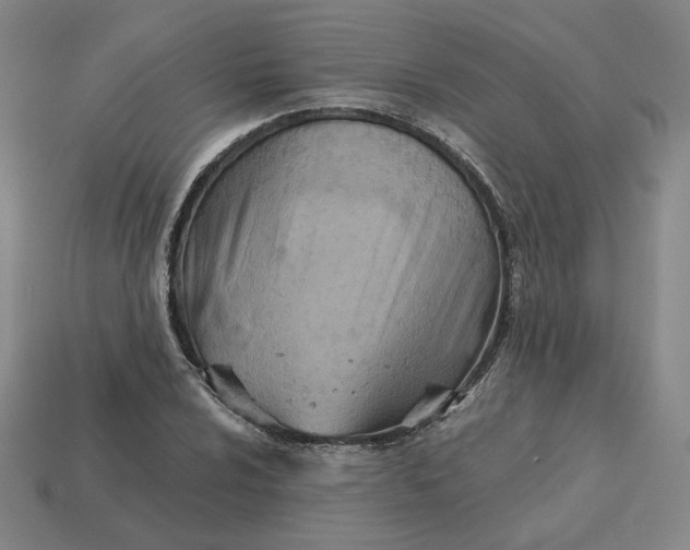 X0000113321024200910051120