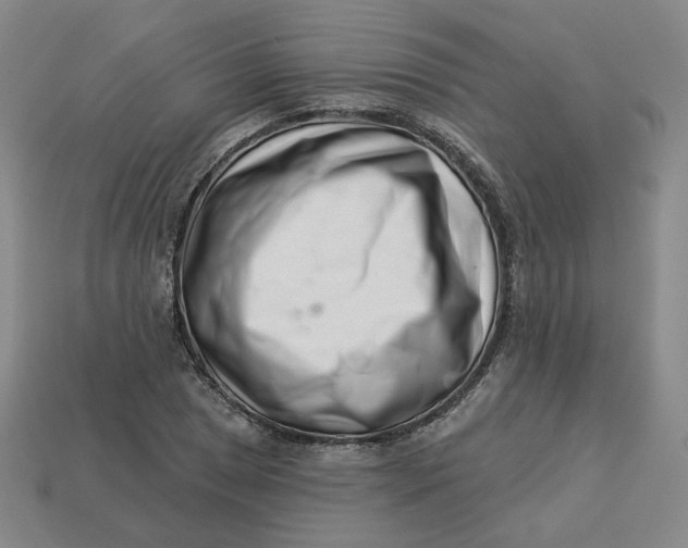 X0000113321025200910051120