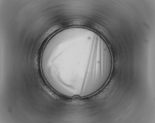 X0000113321026200910051120