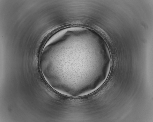 X0000113321027200910051120