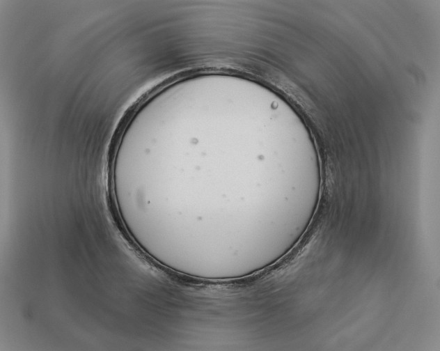 X0000113321028200910051121