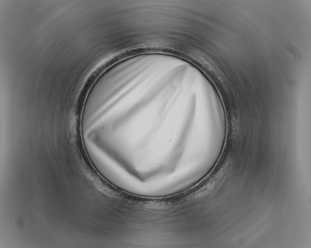 X0000113321029200910051121