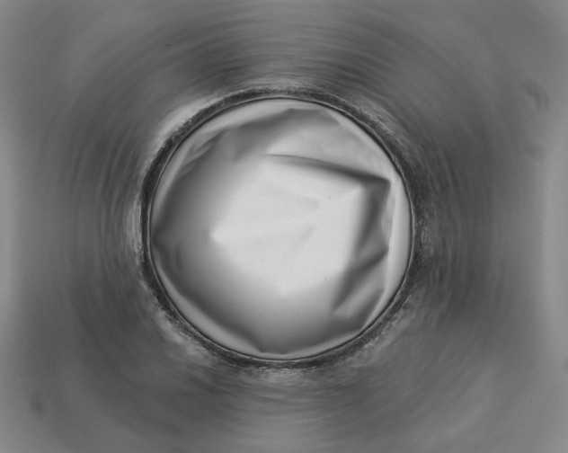 X0000113321030200910051121