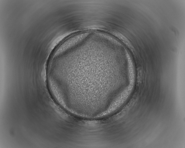 X0000113321031200910051121