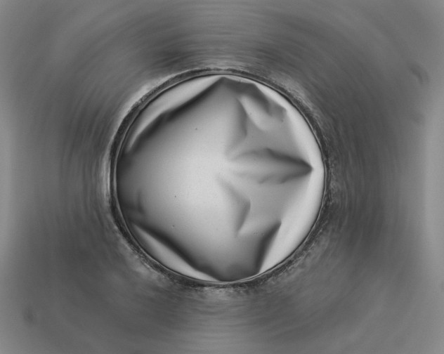 X0000113321032200910051121