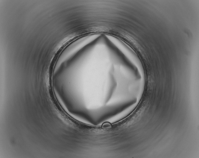 X0000113321034200910051121