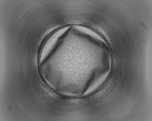 X0000113321035200910051121