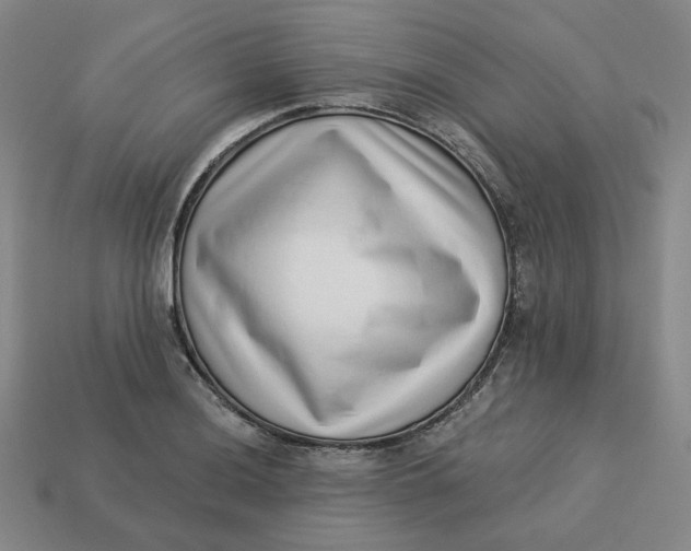 X0000113321036200910051121