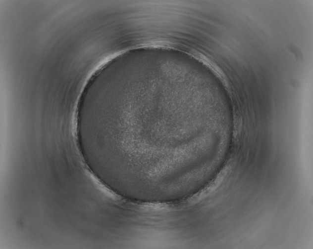 X0000113321037200910051121