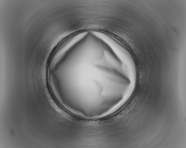 X0000113321038200910051121