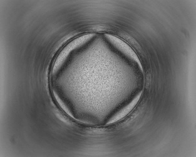 X0000113321039200910051121