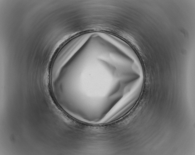 X0000113321040200910051121