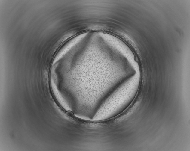 X0000113321041200910051121