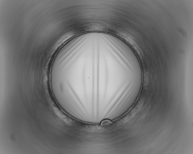 X0000113321042200910051121