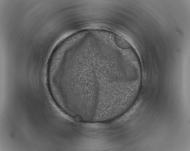 X0000113321045200910051121