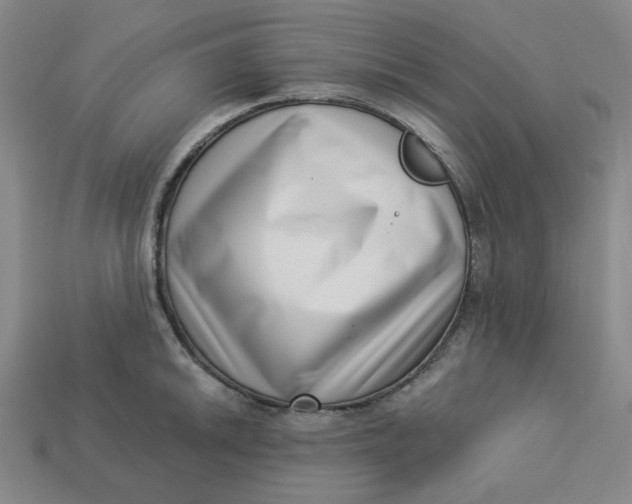 X0000113321046200910051121