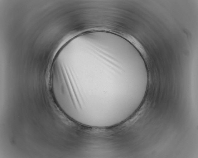 X0000113321052200910051121