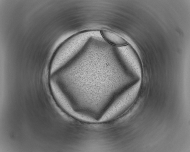 X0000113321053200910051121