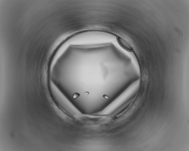 X0000113321054200910051121