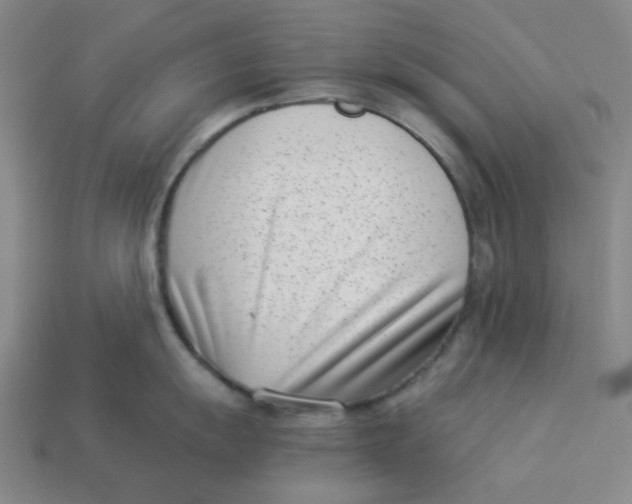 X0000113321055200910051121