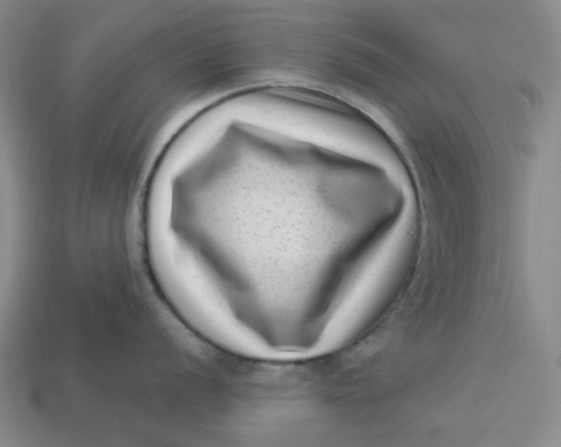 X0000113321056200910051121