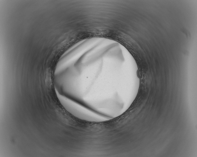 X0000113321058200910051120