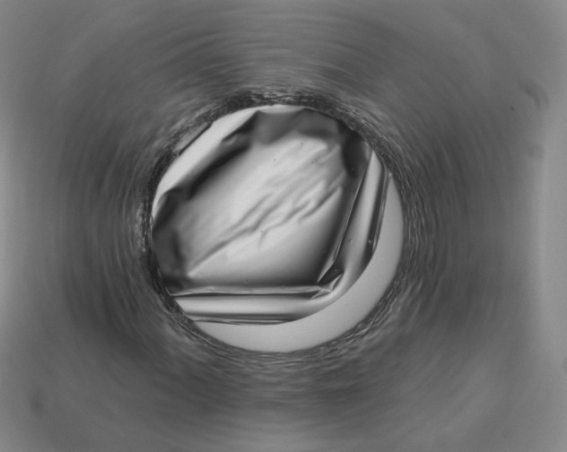 X0000113321060200910051120