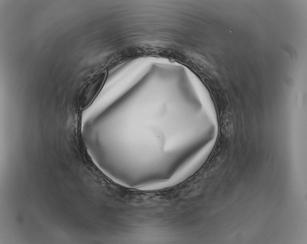 X0000113321061200910051120