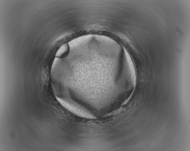 X0000113321063200910051120