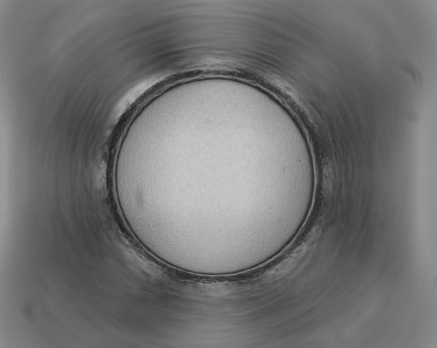 X0000113321066200910051120