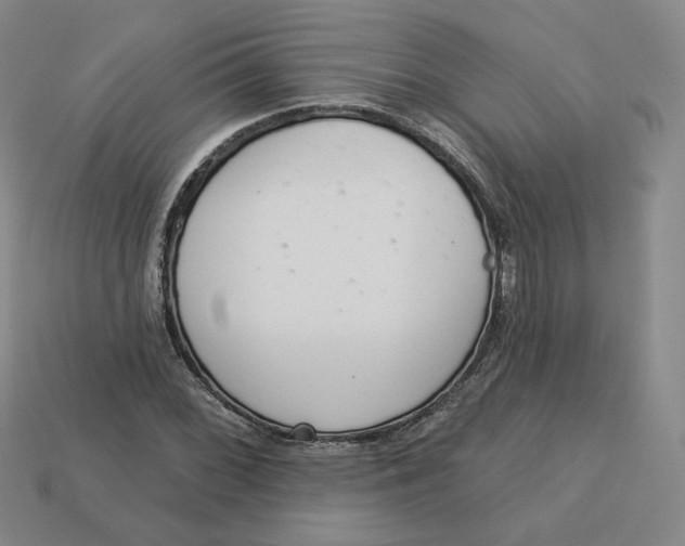 X0000113321068200910051120