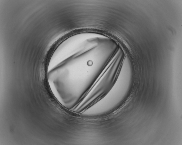 X0000113321069200910051120