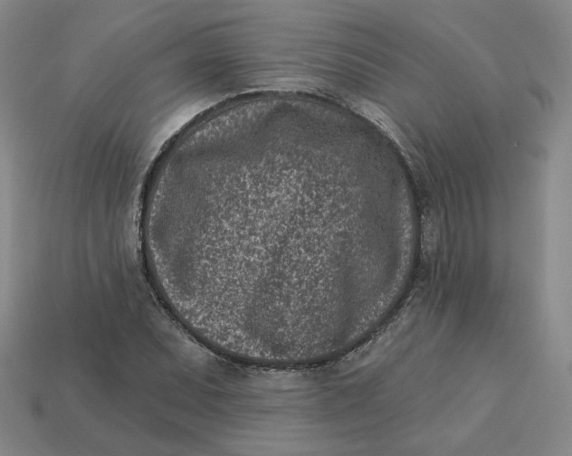 X0000113321071200910051120