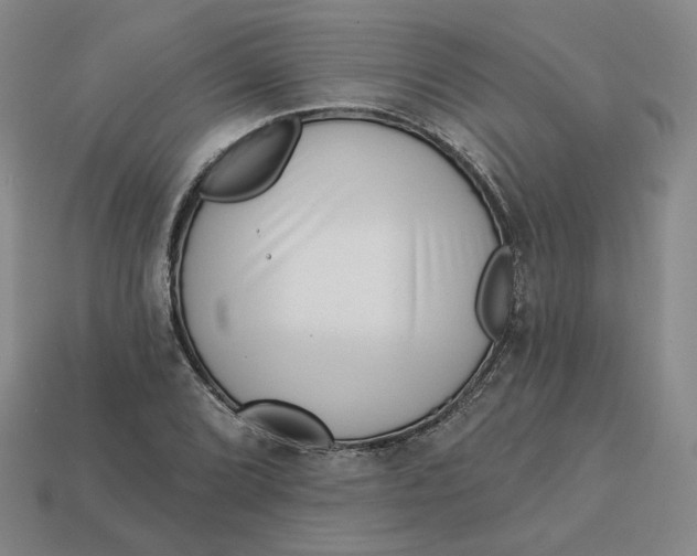 X0000113321072200910051120