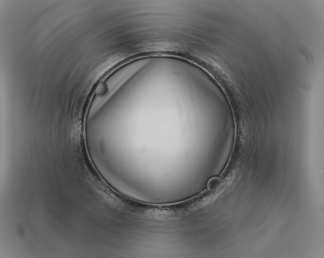 X0000113321073200910051120