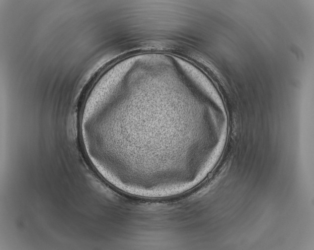 X0000113321075200910051120