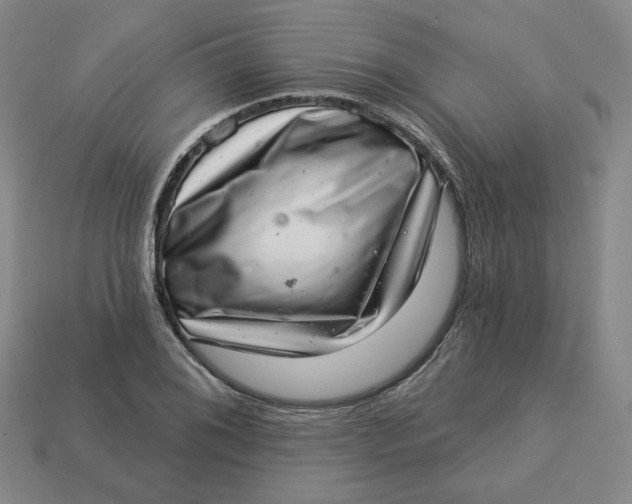 X0000113321076200910051120