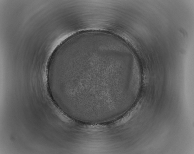 X0000113321077200910051120