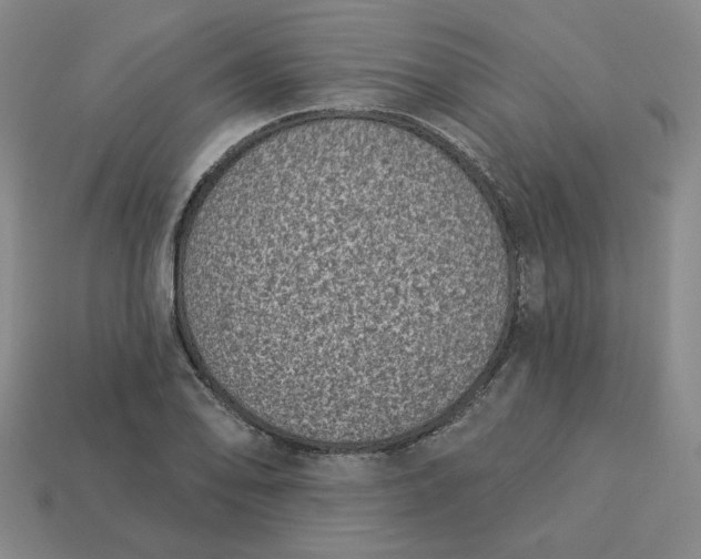 X0000113321078200910051120