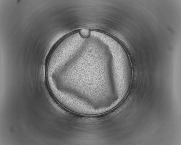 X0000113321079200910051120